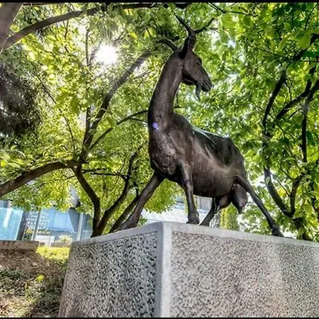 Apartament Amai Exclusive *