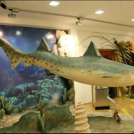 Amai Exclusive דירה