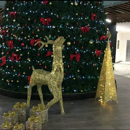 Apartament Amai Exclusive